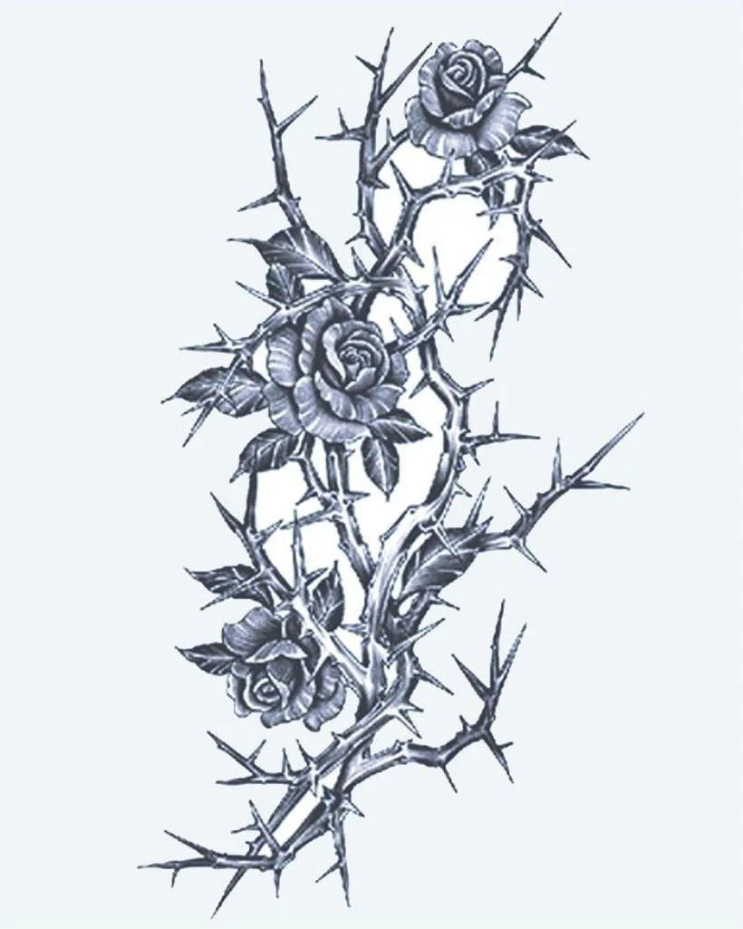 Roses & Thorns semi-permanent tattoo design by INKON – three, blooming, roses, thorny, branch illustration, 4 x 7 in (10x17cm), available at inkon.co