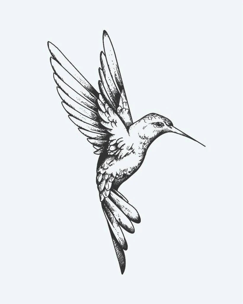 Hummingbird semi-permanent tattoo design by INKON – beautifully, hummingbird, flight, finely, etched illustration, 3 x 4 in (6x11cm), available at inkon.co